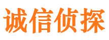 尖山市侦探公司